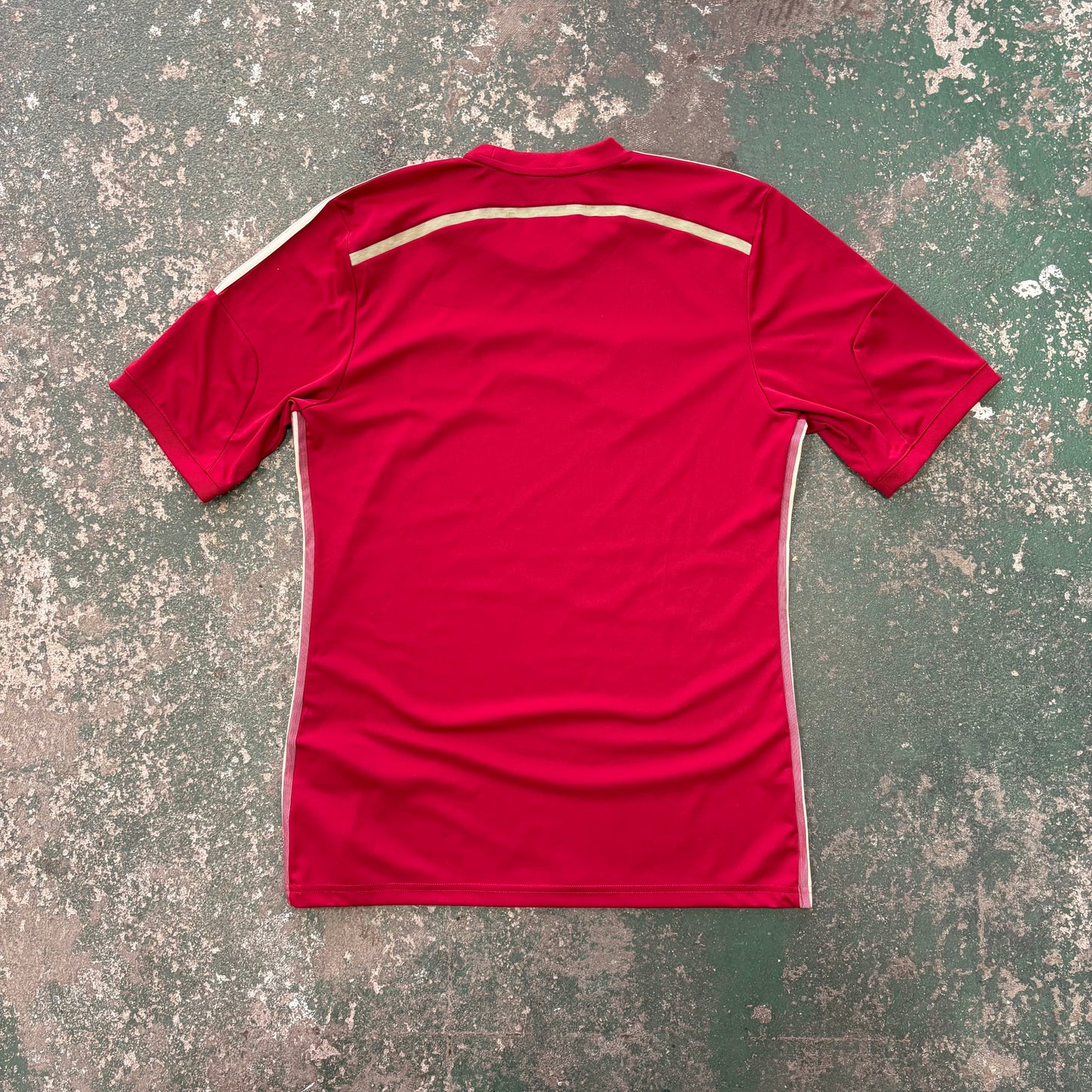 Spain Home World Cup 2014 (M)