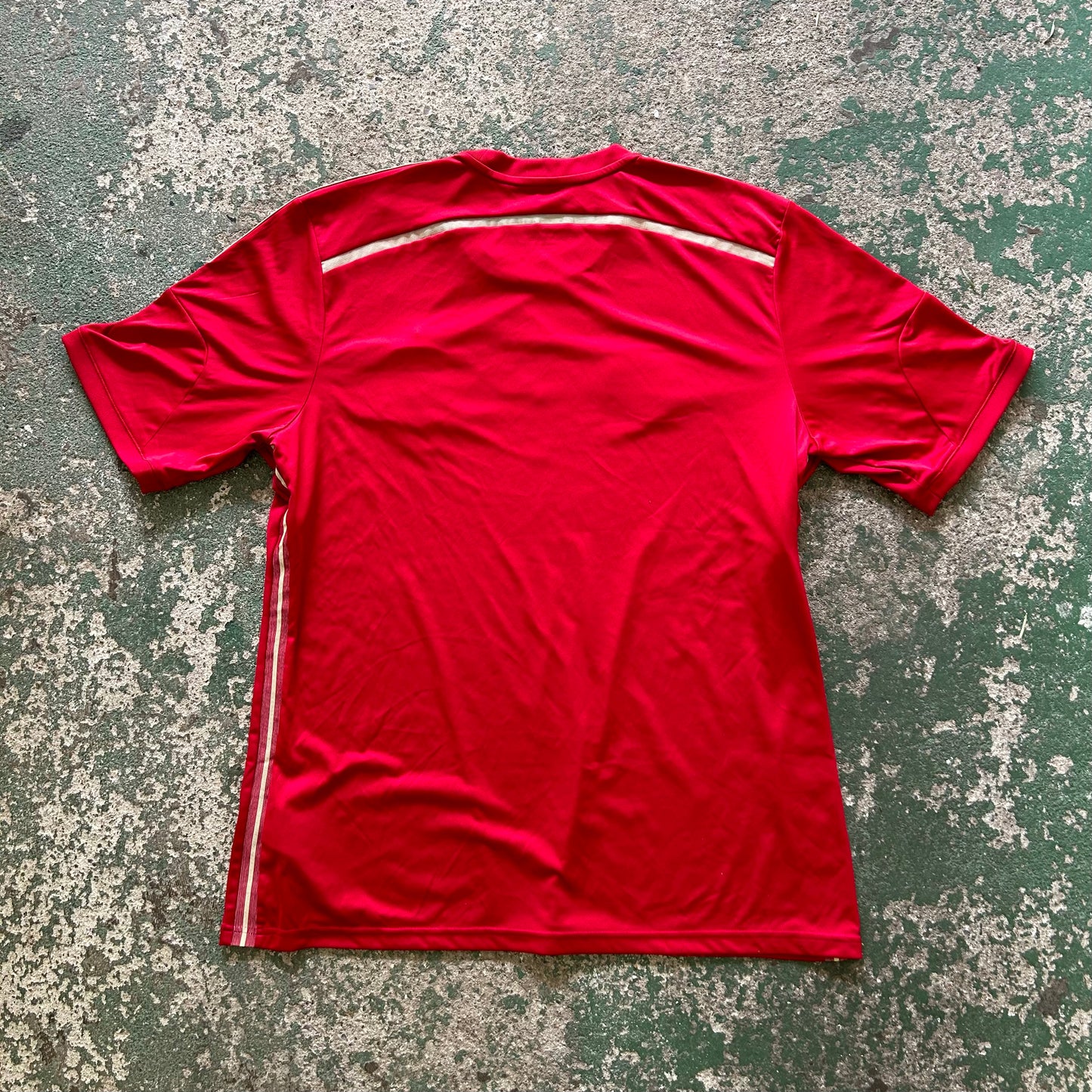 Spain Home World Cup 2014 (XL)
