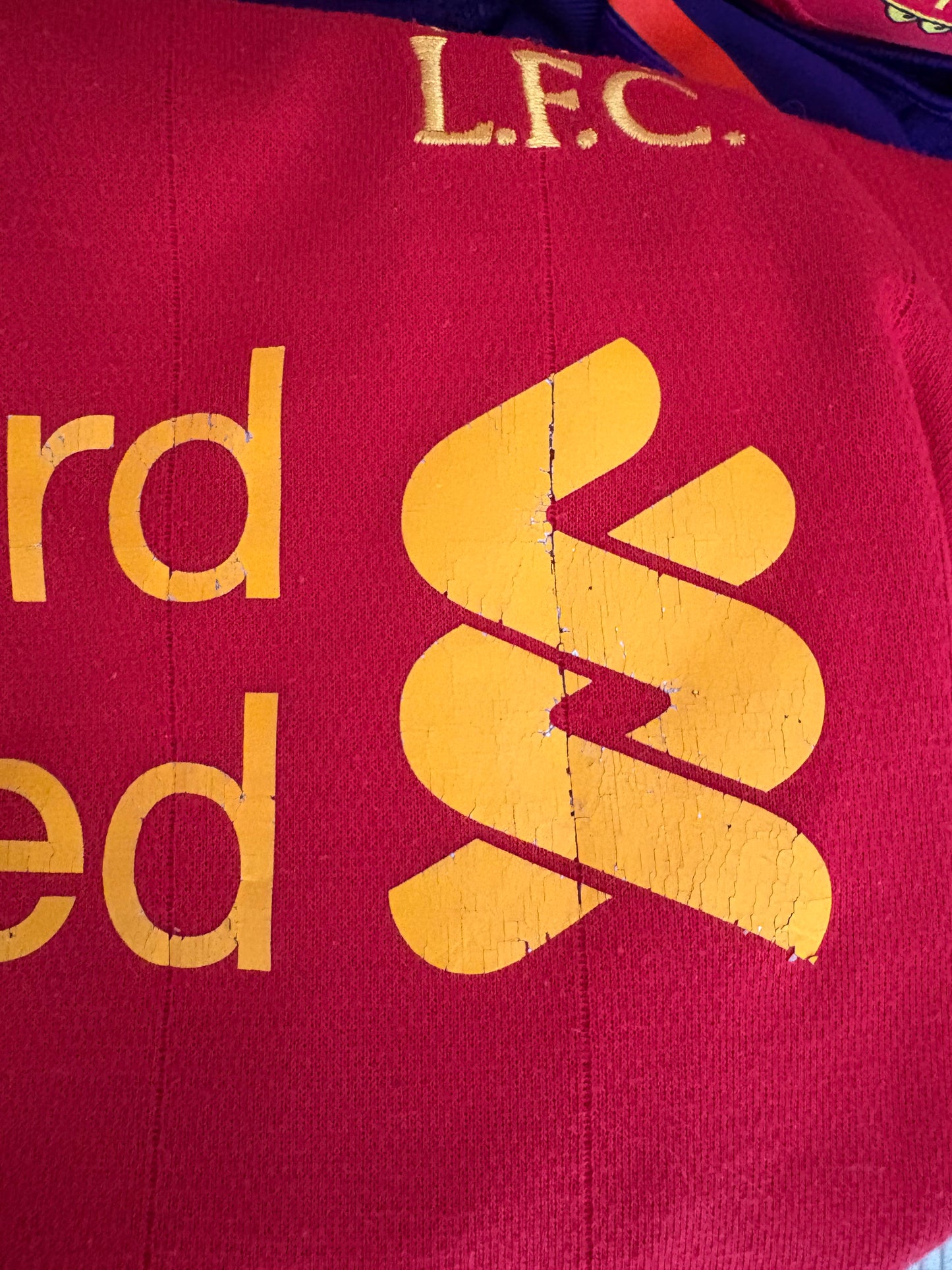 Liverpool Home 12/13 (L)