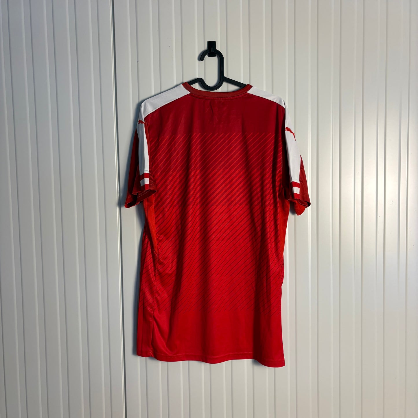 Austria Home Euro 2016 (M)