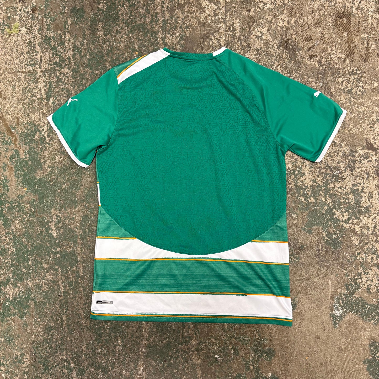 Ivory Coast Home World Cup 2010 (L)