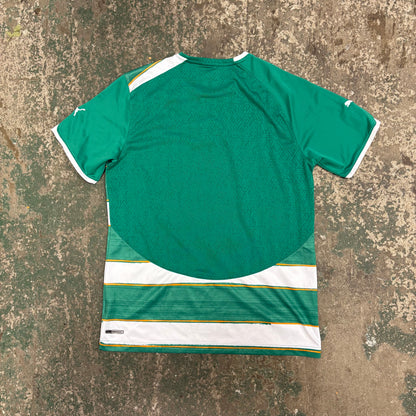 Ivory Coast Home World Cup 2010 (L)