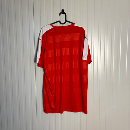 Switzerland Home Euro 2016 (XL)