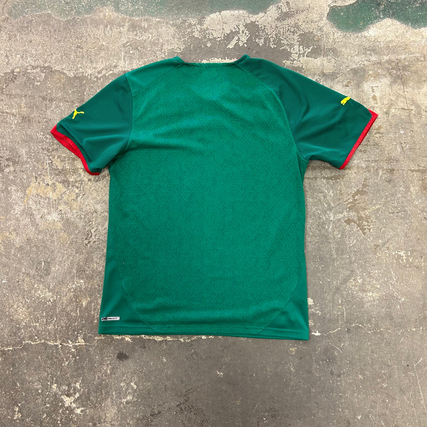 Cameroon Home World Cup 2010 (M)