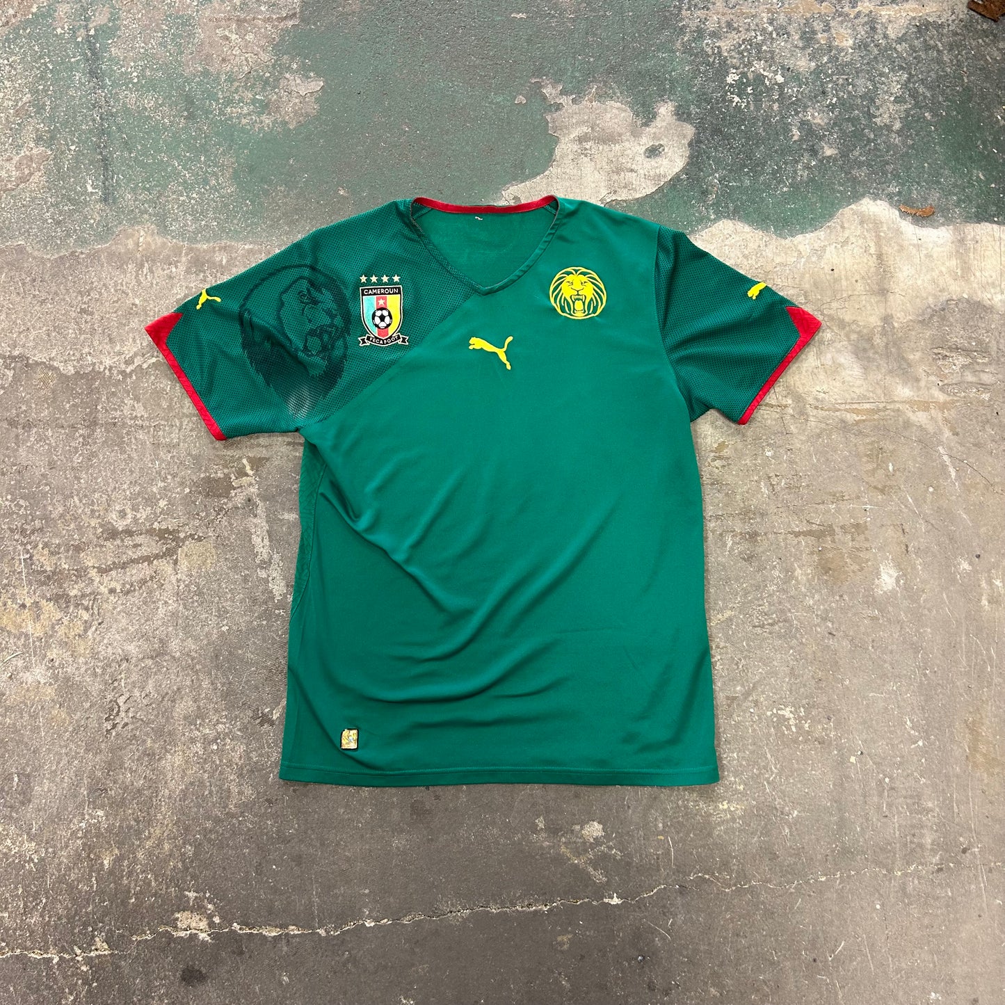 Cameroon Home World Cup 2010 (M)