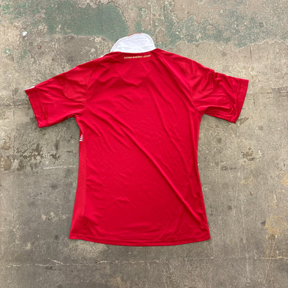 Denmark Home World Cup 2010 (L)